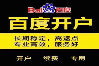 案例剖析：百度推广返点的应用与成效